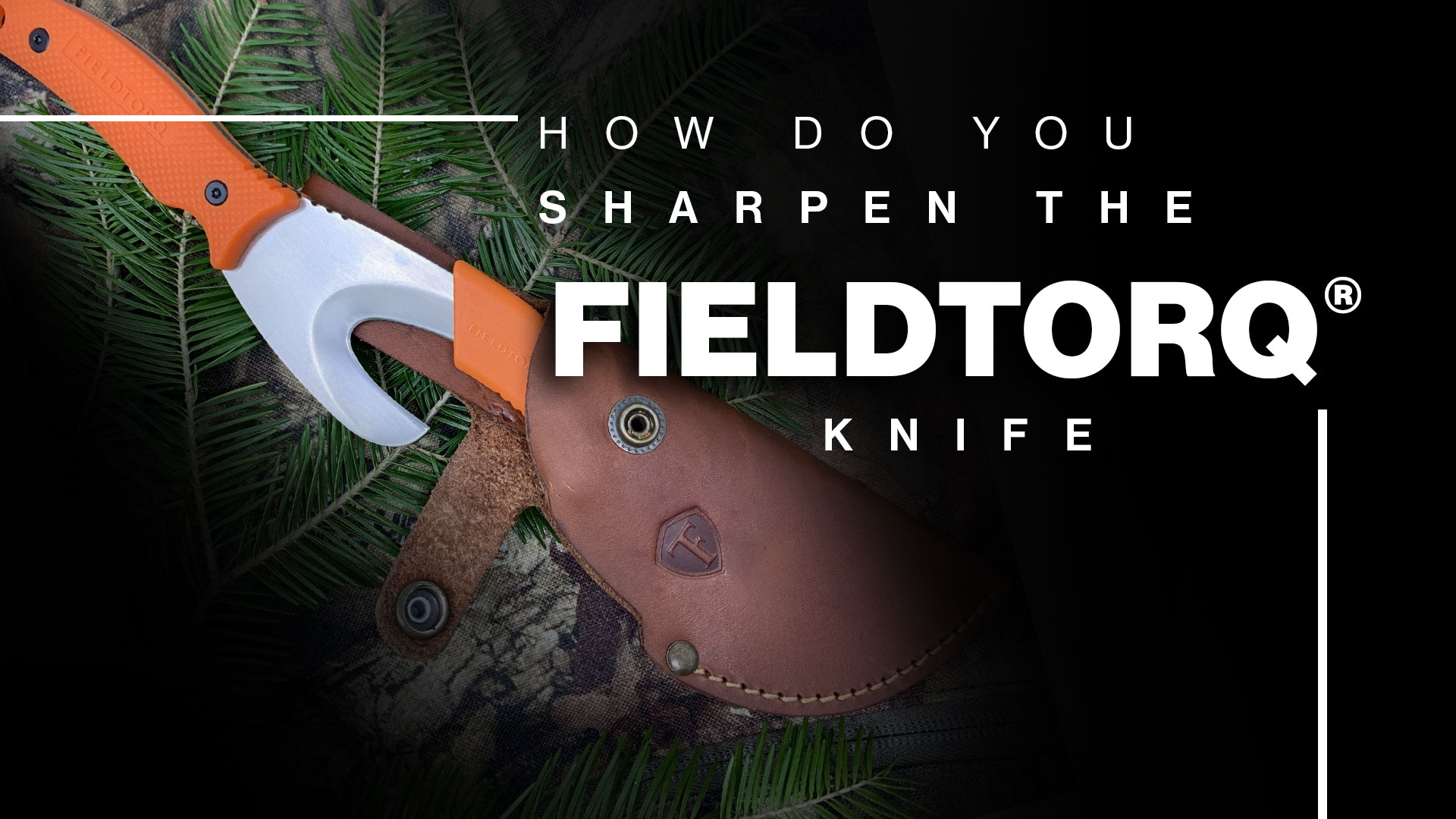 How do you sharpen the FieldTorq knife?